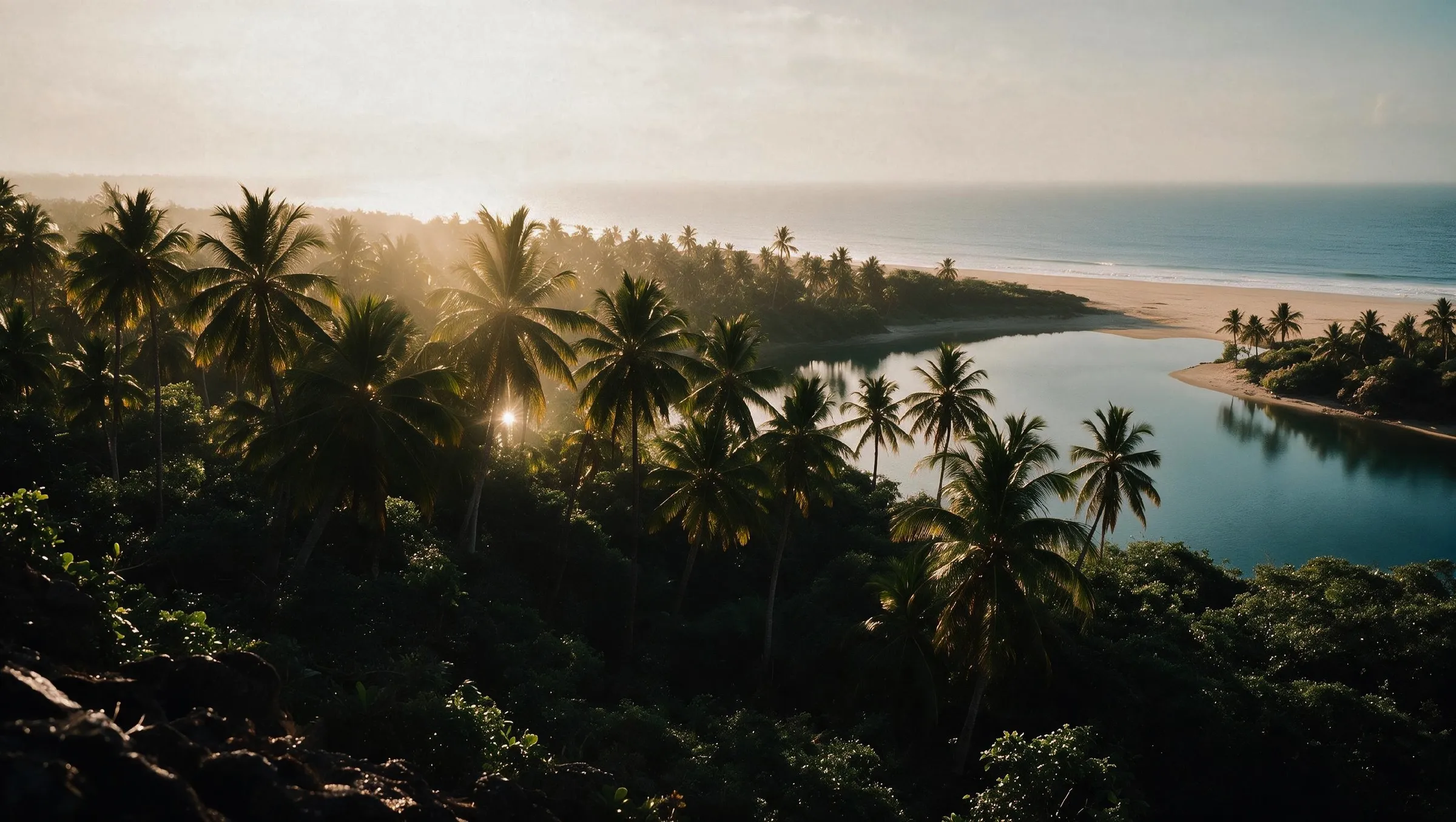 Sun setting behind a coconut grove where a creek meets the beach