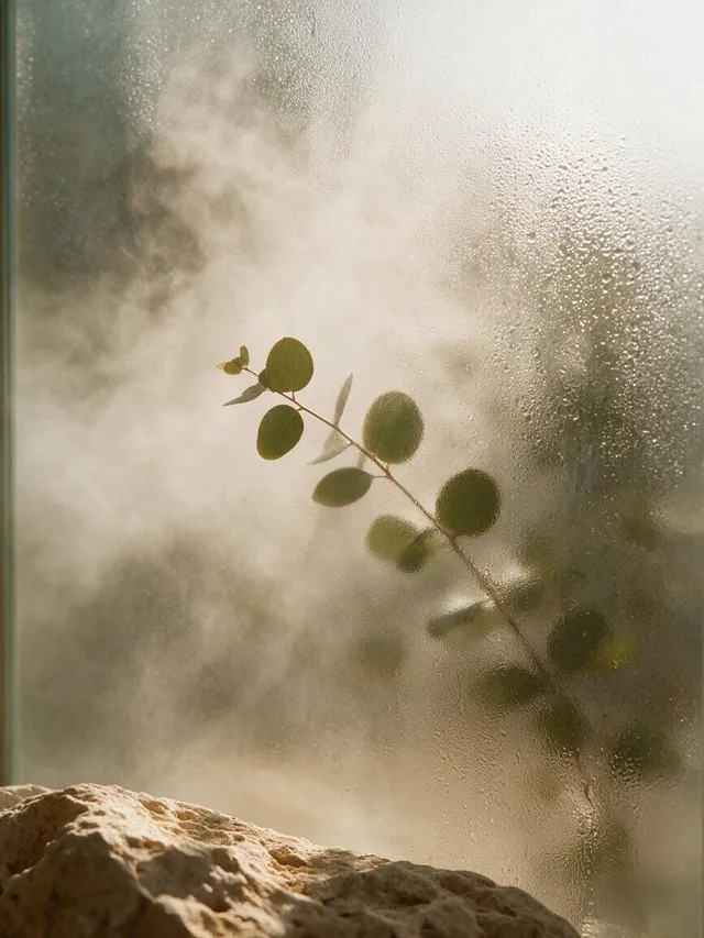 A branch against mist rolling over rock during the monsoon season